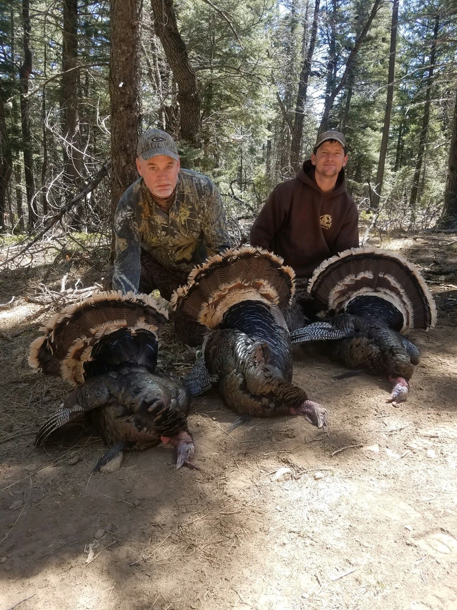 New Mexico Turkey Hunting Photos